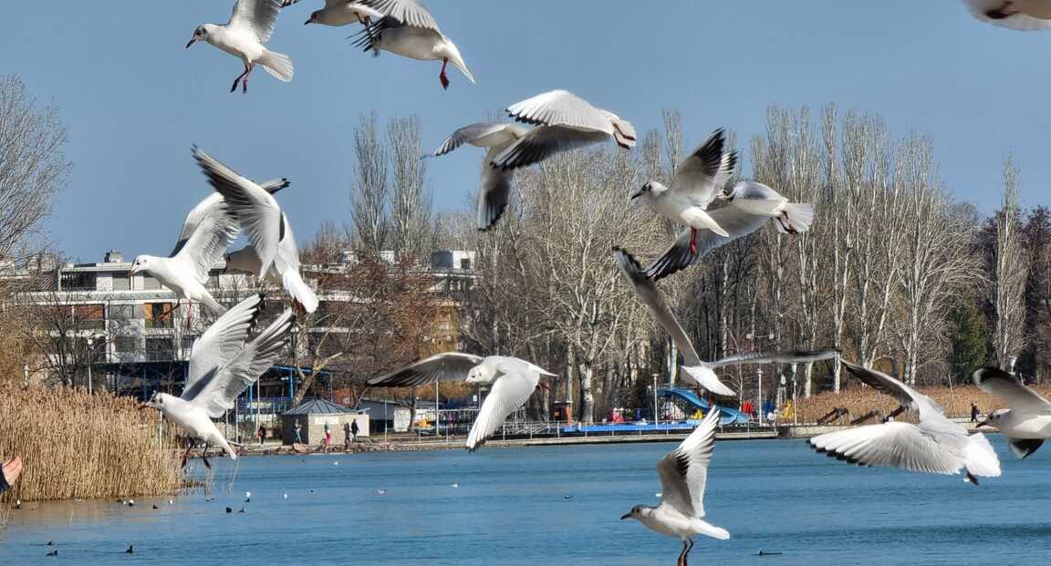 5 ok, amiért a Balaton jobb ősszel, mint nyáron