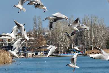 5 ok, amiért a Balaton jobb ősszel, mint nyáron