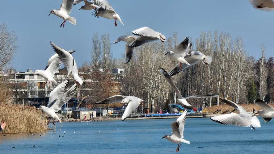 5 ok, amiért a Balaton jobb ősszel, mint nyáron