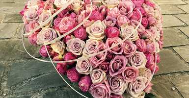 Segítsünk barátunknak átvészelni ezt a tragikus időszakot!