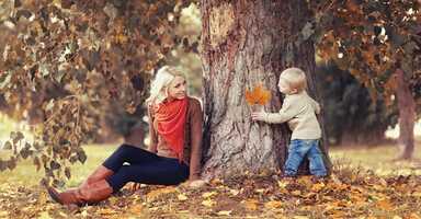 Tavaszi kirándulás