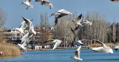 5 ok, amiért a Balaton jobb ősszel, mint nyáron